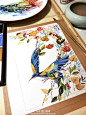 【白弯弯】用彩墨描绘的植物插画，质感舒服，颜色治愈，非常美丽。
