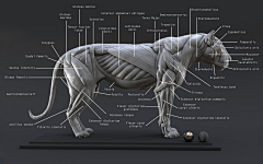 领悟CG采集到生物