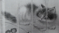 一组猫的白描供大家参考。_看图_工笔画吧_百度贴吧