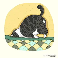 插画丨猫的快乐你想象不到，但是可以画的出来~ : 60万插画师共同关注→插画与品牌设计