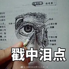 微信 QQ 搞笑 表情包 哈哈 (3307)