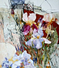 英国女画家Shirley Trevena水彩画欣赏——她在国际上享有盛誉，被认为是英国最具创新精神的艺术家之一。 ​​​​