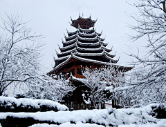 美图共赏采集到2016年第一场雪景