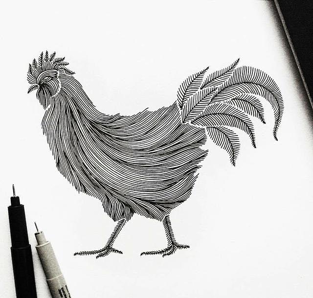 黑白线描动物手绘插画