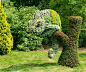 Chameleon topiary