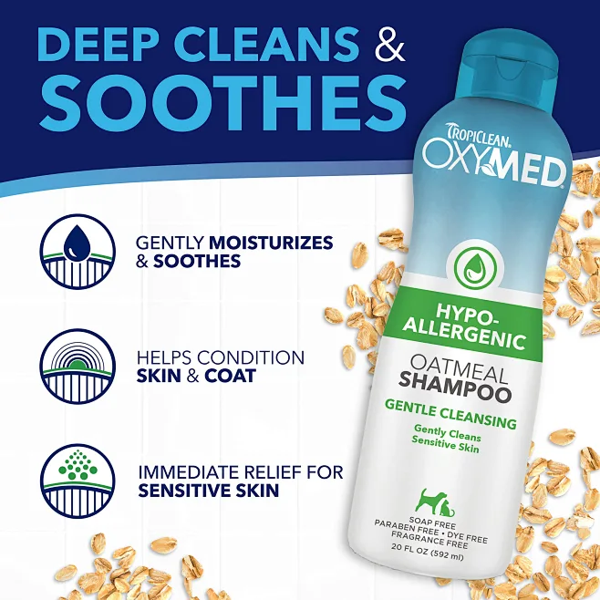 10 Best Dog Shampoos for Itchy Skin in 2026 - Reviews & Top Picks