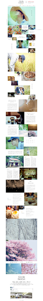 [Photo Layout] Little Forest http://littleforest-movie.jp/sa/: 