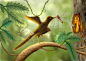 A feathered dinosaur belongs to Oculudentavis is recovered from amber fossils, as well a lacewing insect and plants located in Myanmar.