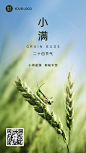 小满节气祝福问候实景手机海报