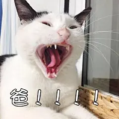 表情包/缺钱