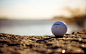 Nipic_668573_20130407090437207125