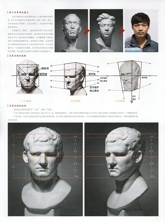 素描石膏 石膏头像 石膏解剖 比例 透视...