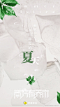 南方夏已至。#南方有乔木# ​