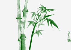 37號李世隆采集到竹子