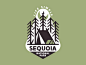 Sequoia 4x