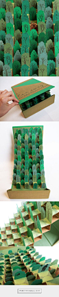 Run Away to the Mountain: Pop Up Book by Jacy Nordmeyer