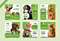 Pet shop banner for social media post template