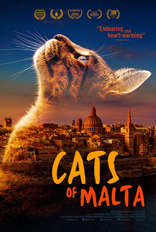 Cats of Malta Movie ...