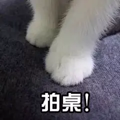 表情包 (3393)