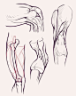 #绘画教程# 腿部结构/膝盖的解析 ​​​​