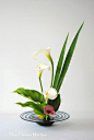 Art Floral Ikebana Mai Van Thai Thomas  