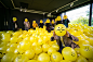 Ball.Room. / 2016 : I have created 65 different well-known as well as new emojis that have been put on 2015 yellow inflatable beach balls using 14 character sets of different typefaces. Then I filled up a room with these yellow balls.Every visitor can tak