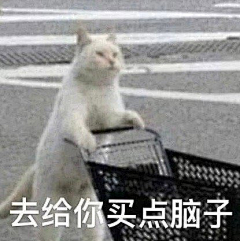 莹窗采集到表情包