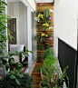 Imagenes ideas Jardines Verticales para Balcones en apartamentos: 