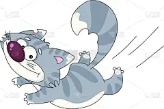 运行的猫