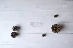 白木背景上的松果。