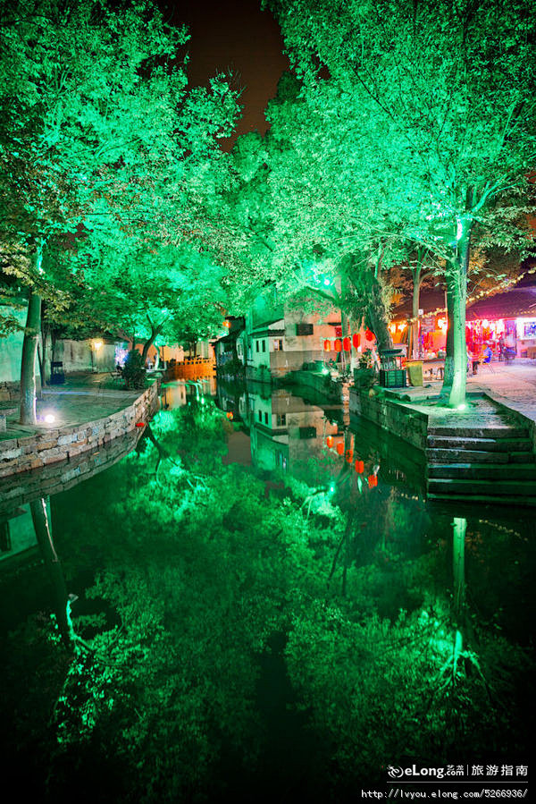 逝去的同里：灯红树绿的夜色, 树缠藤旅游...