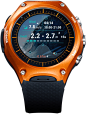 WSD-F10