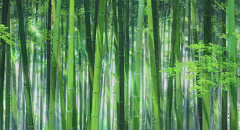 禾里采集到必有所图