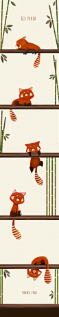 Red Panda : Illustrations for personal project