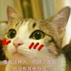 我负丹青-采集到表情包