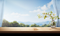 two wooden boards on the side of the window and a tree, in the style of motion blur panorama, sky-blue and white, uhd image, studyplace, joong keun lee, joyful celebration of nature, focus on materials