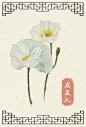 水彩手绘花卉信纸