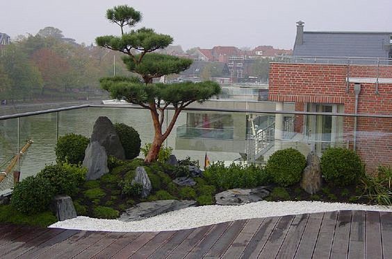 Roof Garden