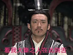 大秦帝国之表情包【持续更新中】 : 宁静演的王太后一声“老哥哥”我差点骨头酥掉大半边，有种女人真的不因为时光而损...