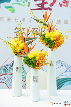 WANG&采集到花艺绿植