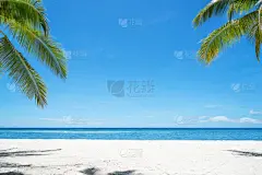 天体海滩,鸡尾酒,棕榈树,日夜转换系列,沙子,玻利尼西亚,棕榈叶,海滩,马尔代夫,水