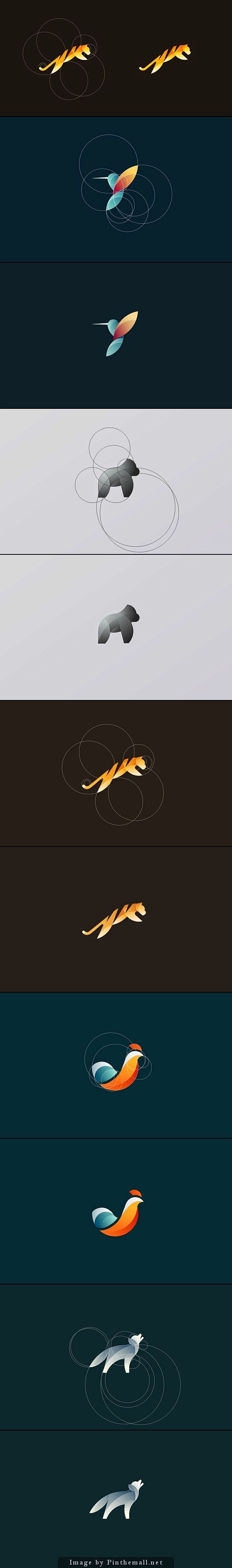 Animal logo design: 