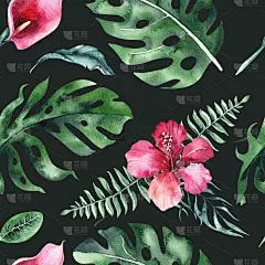 一套明亮的水彩热带怪物的叶子。花束热带棕榈叶无缝图案，花枝来自丛林。异域背景植物设计夏威夷