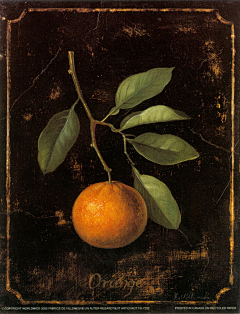GALIYOU采集到油画