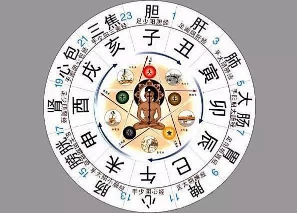 天干地支五脏对应图