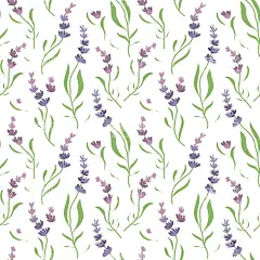 薰衣草图案  - 源文件下载【酷图网】薰衣草图案,卡通,素材,插图,元素,矢量,可爱,薰衣草素材,卡通薰衣草,手绘,壁纸,插画,清新,无缝,印花,循环,连续,图案,数码,布料,服装,包装,包装纸,简约,时尚,背景,四方,平铺,薰衣草,底纹,面料,碎花图案,女装,花型,欧式,家居,华丽,花卉,精美,家纺,紫色,花朵,鲜花,花,白色,绿色