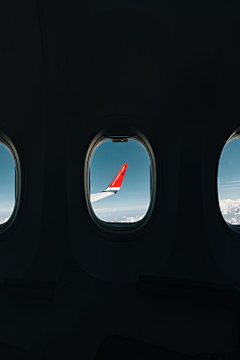 森林中采集到Trip.Airplane