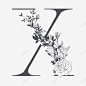 素雅花枝字母X矢量图 元素 免抠png 设计图片 免费下载 页面网页 平面电商 创意素材