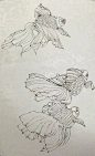 #绘画参考# 金鱼白描 ​​​