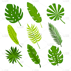 TD-D采集到植物